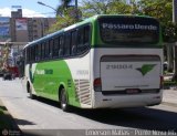 Pássaro Verde 29004 na cidade de Ponte Nova, Minas Gerais, Brasil, por Emerson Matias de Oliveira Santos. Número da foto: #:id.