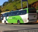 Pássaro Verde 29004 na cidade de Ponte Nova, Minas Gerais, Brasil, por Emerson Matias de Oliveira Santos. Número da foto: #:id.