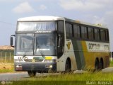 Empresa Gontijo de Transportes 11095 na cidade de Cabo de Santo Agostinho, Pernambuco, Brasil, por Mário  Augusto. Número da foto: #569528.