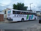 Pantera Turismo  na cidade de Juiz de Fora, Minas Gerais, Brasil, por Luiz Krolman. ID da foto: :id.