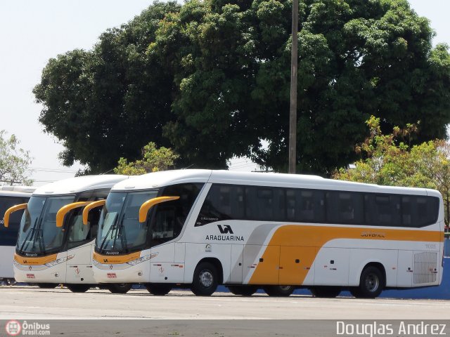 Viação Araguarina 11005 na cidade de Goiânia, Goiás, Brasil, por Douglas Andrez. Número da foto: #571839.