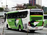 Pássaro Verde 11092 na cidade de Belo Horizonte, Minas Gerais, Brasil, por Rodrigo Emanuel. Número da foto: #572642.