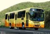 Viação Paraense  na cidade de Petrópolis, Rio de Janeiro, Brasil, por Rafael da Silva Xarão. Número da foto: #:id.