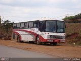 Pitangui Turismo 1800 na cidade de Igarapé, Minas Gerais, Brasil, por Bruno Freitas. Número da foto: #:id.