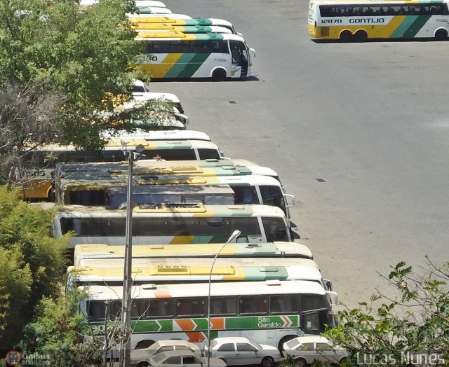 Empresa Gontijo de Transportes FROTA GARAGEM na cidade de Belo Horizonte, Minas Gerais, Brasil, por Lucas Nunes. Número da foto: #578024.