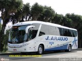 J. Araujo 2080 na cidade de Curitiba, Paraná, Brasil, por Paulo Roberto Chulis. Número da foto: #578398.