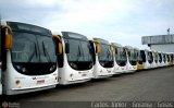 Viação Araguarina 3087 na cidade de Goiânia, Goiás, Brasil, por Carlos Júnior. Número da foto: #:id.