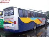 Transmimo 3210 na cidade de Aparecida, São Paulo, Brasil, por Luiz Krolman. Número da foto: #580160.