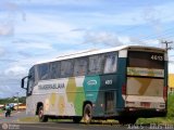 Transbrasiliana Transportes e Turismo 4613 na cidade de Teresina, Piauí, Brasil, por Jones Bh. Número da foto: #582766.