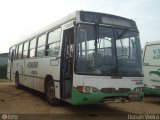 Pinheiro Tour 370 na cidade de Itaguaí, Rio de Janeiro, Brasil, por Renan Vieira. Número da foto: #585779.