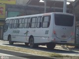 Pinheiro Tour 800 na cidade de Itaguaí, Rio de Janeiro, Brasil, por Renan Vieira. Número da foto: #585741.