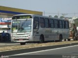 Pinheiro Tour 800 na cidade de Itaguaí, Rio de Janeiro, Brasil, por Renan Vieira. Número da foto: #585734.