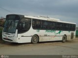 Pinheiro Tour 600 na cidade de Itaguaí, Rio de Janeiro, Brasil, por Renan Vieira. Número da foto: #585819.