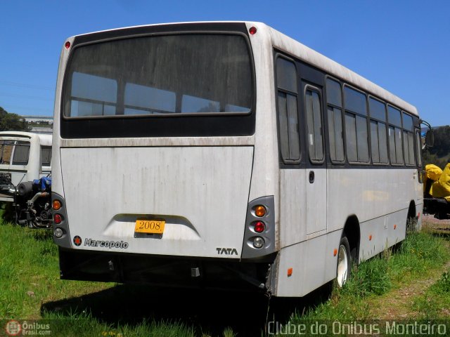 Marcopolo TATA na cidade de Caxias do Sul, Rio Grande do Sul, Brasil, por Luan Peixoto. Número da foto: #586410.