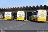 Empresa Gontijo de Transportes 10135 na cidade de Araxá, Minas Gerais, Brasil, por Guilherme Antonio. Número da foto: #586972.
