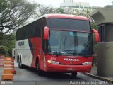 Pluma Conforto e Turismo 4916 na cidade de São Paulo, São Paulo, Brasil, por Paulo Ricardo. Número da foto: #589755.