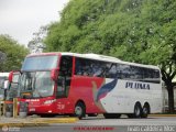 Pluma Conforto e Turismo 7238 na cidade de São Paulo, São Paulo, Brasil, por Ivan Caldeira Moc. Número da foto: #:id.