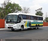 Viação Transpiauí 463 na cidade de Brasília, Distrito Federal, Brasil, por Peterson Fernandes . Número da foto: #591423.