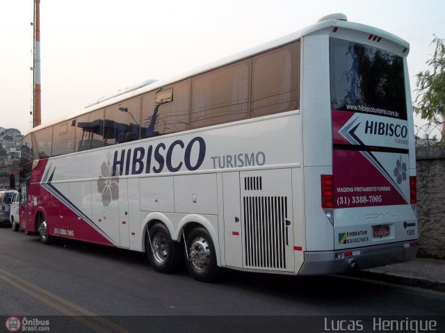 Hibisco Turismo 1000 na cidade de Belo Horizonte, Minas Gerais, Brasil, por Lucas Henrique . Número da foto: #593027.