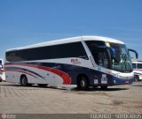 Bia Turismo > Aellos de Ouro 2013 na cidade de Sorocaba, São Paulo, Brasil, por EDUARDO - SOROCABUS. Número da foto: #557323.