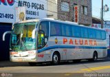 Paluana Transportes 12123 na cidade de Presidente Prudente, São Paulo, Brasil, por Rogério Guezzi. Número da foto: #558896.