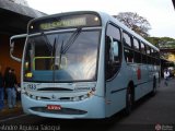 TCGL - Transportes Coletivos Grande Londrina 1133 na cidade de Londrina, Paraná, Brasil, por André Aguirra Taioqui. Número da foto: #564384.